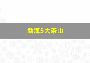 勐海5大茶山