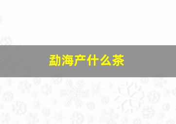 勐海产什么茶