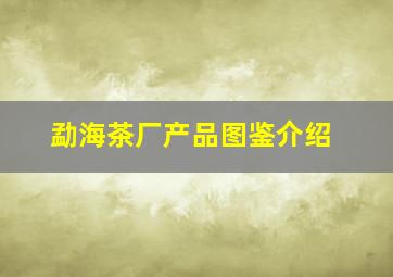 勐海茶厂产品图鉴介绍