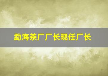 勐海茶厂厂长现任厂长