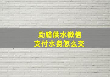 勐腊供水微信支付水费怎么交