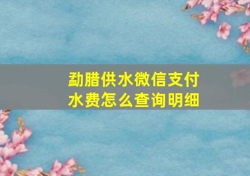 勐腊供水微信支付水费怎么查询明细