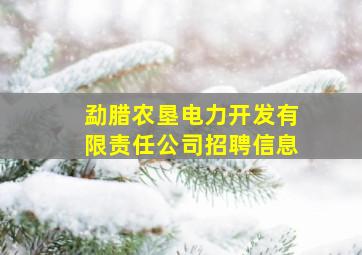 勐腊农垦电力开发有限责任公司招聘信息