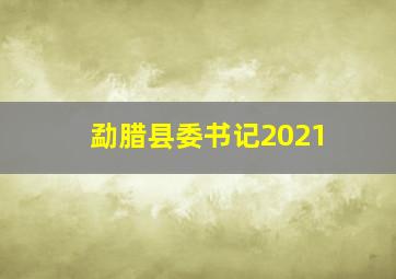 勐腊县委书记2021