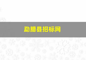 勐腊县招标网