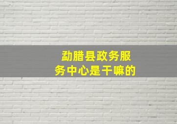 勐腊县政务服务中心是干嘛的