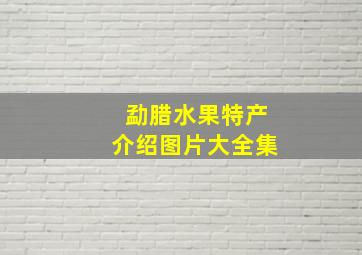 勐腊水果特产介绍图片大全集