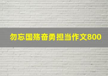 勿忘国殇奋勇担当作文800