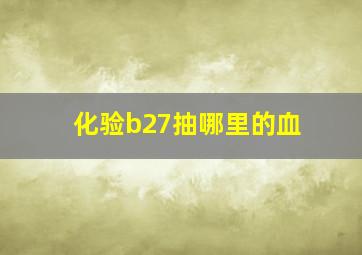 化验b27抽哪里的血