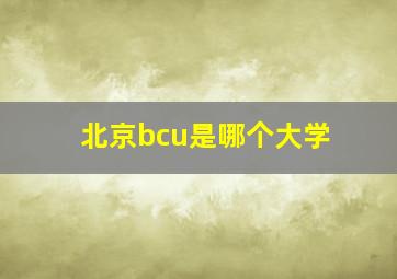 北京bcu是哪个大学