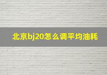 北京bj20怎么调平均油耗