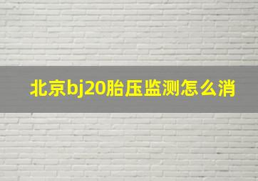 北京bj20胎压监测怎么消