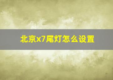 北京x7尾灯怎么设置