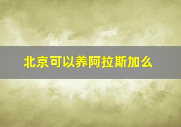 北京可以养阿拉斯加么