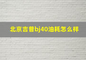 北京吉普bj40油耗怎么样