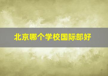 北京哪个学校国际部好