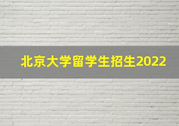 北京大学留学生招生2022