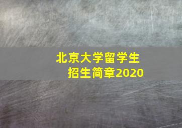 北京大学留学生招生简章2020