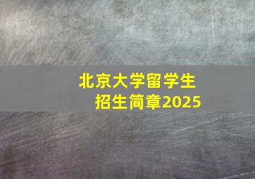 北京大学留学生招生简章2025