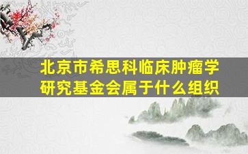 北京市希思科临床肿瘤学研究基金会属于什么组织