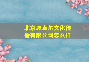 北京恩卓尔文化传播有限公司怎么样