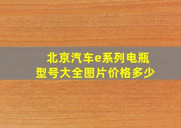 北京汽车e系列电瓶型号大全图片价格多少