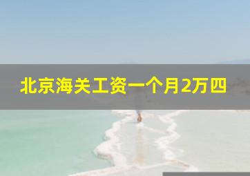 北京海关工资一个月2万四