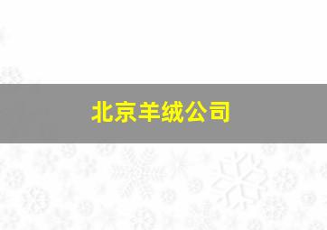 北京羊绒公司