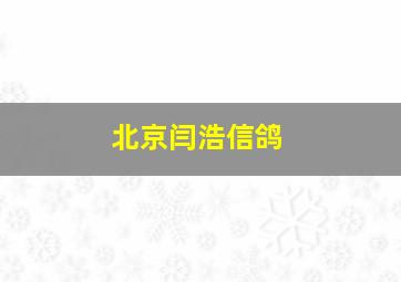 北京闫浩信鸽