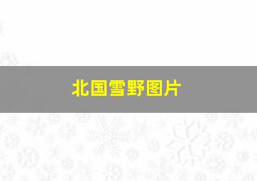 北国雪野图片