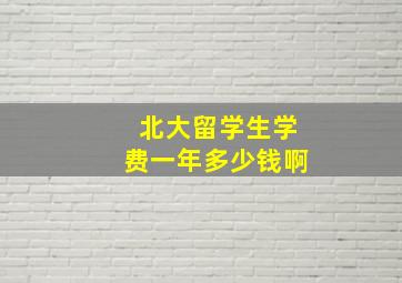 北大留学生学费一年多少钱啊