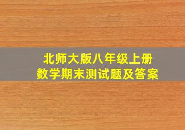 北师大版八年级上册数学期末测试题及答案