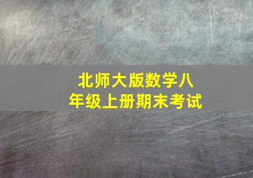 北师大版数学八年级上册期末考试