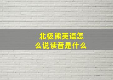 北极熊英语怎么说读音是什么