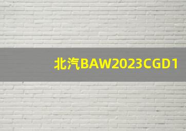 北汽BAW2023CGD1