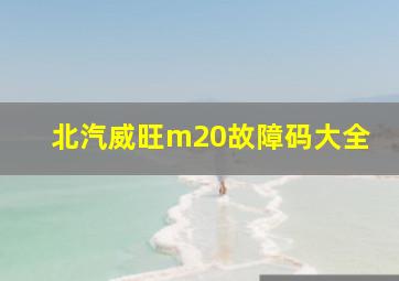 北汽威旺m20故障码大全