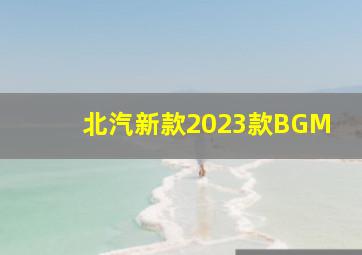 北汽新款2023款BGM