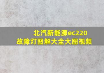 北汽新能源ec220故障灯图解大全大图视频