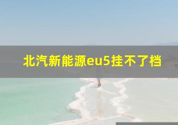 北汽新能源eu5挂不了档