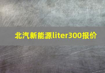 北汽新能源liter300报价