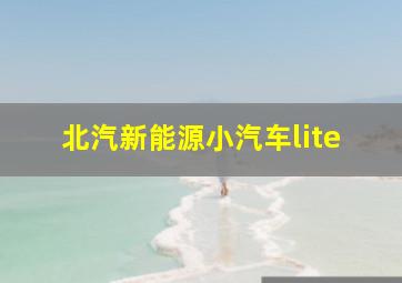 北汽新能源小汽车lite