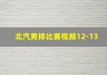 北汽男排比赛视频12-13