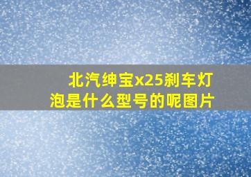 北汽绅宝x25刹车灯泡是什么型号的呢图片