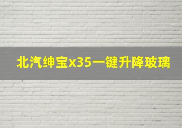 北汽绅宝x35一键升降玻璃