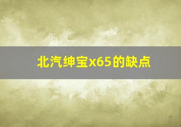 北汽绅宝x65的缺点