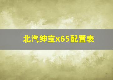 北汽绅宝x65配置表