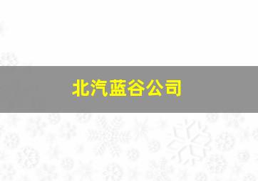 北汽蓝谷公司