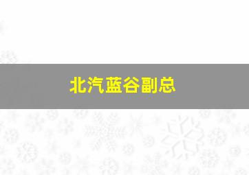 北汽蓝谷副总