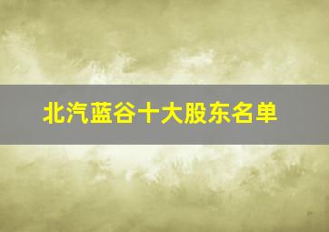 北汽蓝谷十大股东名单