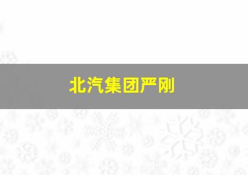 北汽集团严刚